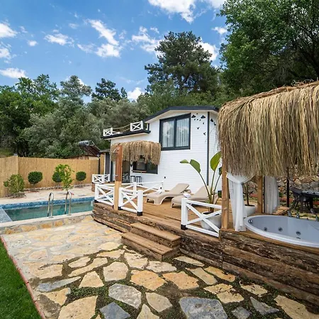 Gorgeous Villa With Private Pool And Terrace Surrounded By Nature In Fethiye Villa *