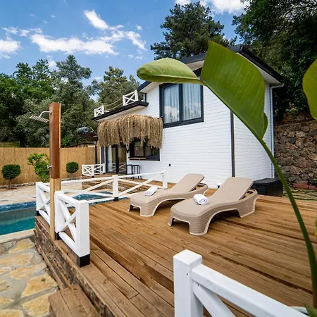 Gorgeous Villa With Private Pool And Terrace Surrounded By Nature In Fethiye Villa