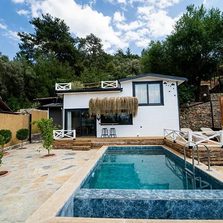 Villa Gorgeous Villa With Private Pool And Terrace Surrounded By Nature In Fethiye Fethiye