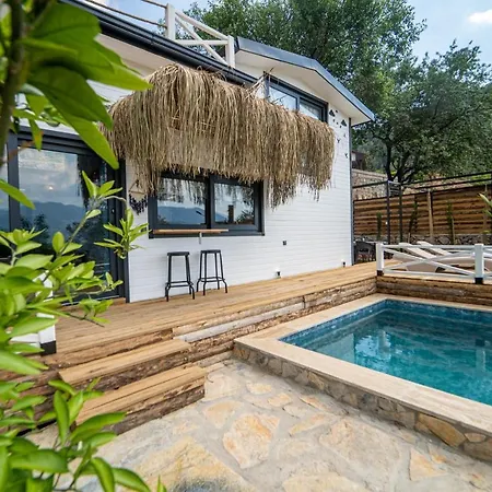Gorgeous Villa With Private Pool And Terrace Surrounded By Nature In Fethiye Villa